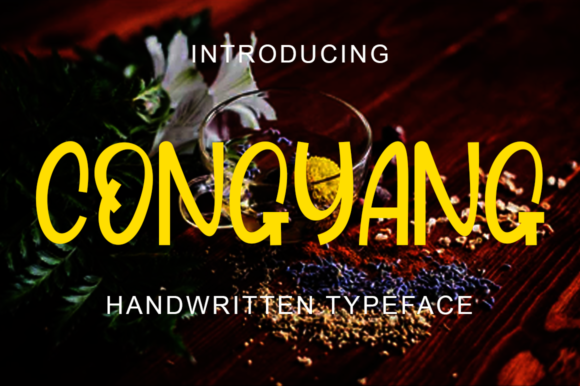 Congyang: A Display Font for Creative Editorial Design