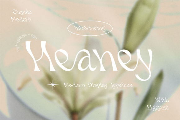 Heaney Font: A Whimsical Display Type for Creative Projects