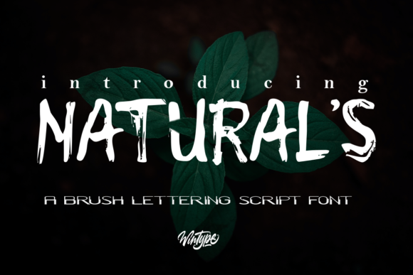 Natural s Display Font for Web and Digital Design