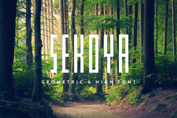 Sekoya Font for Eye-Catching Campaign Designs